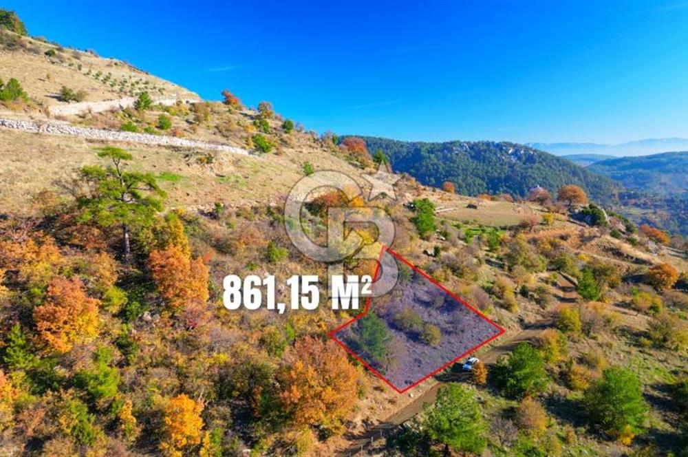 Muğla Menteşe Çatakbağyaka’da Doğayla İç İçe Satılık Tarla
