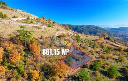 Muğla Menteşe Çatakbağyaka’da Doğayla İç İçe Satılık Tarla