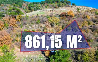 Muğla Menteşe Çatakbağyaka’da Doğayla İç İçe Satılık Tarla