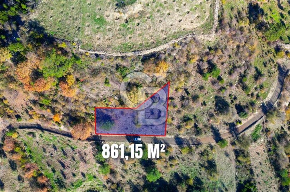 Muğla Menteşe Çatakbağyaka’da Doğayla İç İçe Satılık Tarla