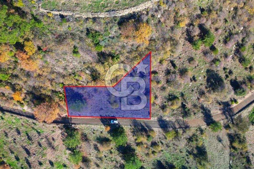 Muğla Menteşe Çatakbağyaka’da Doğayla İç İçe Satılık Tarla