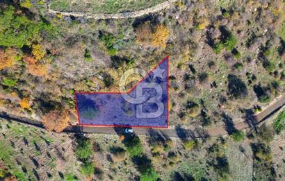 Muğla Menteşe Çatakbağyaka’da Doğayla İç İçe Satılık Tarla