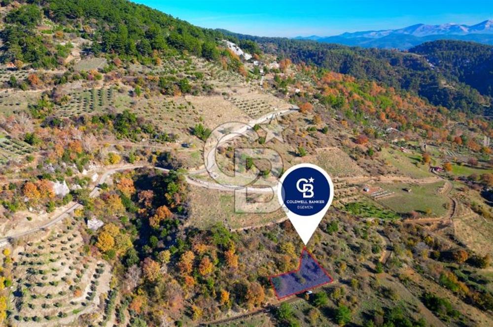 Muğla Menteşe Çatakbağyaka’da Doğayla İç İçe Satılık Tarla
