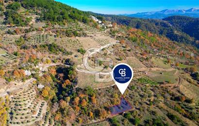 Muğla Menteşe Çatakbağyaka’da Doğayla İç İçe Satılık Tarla