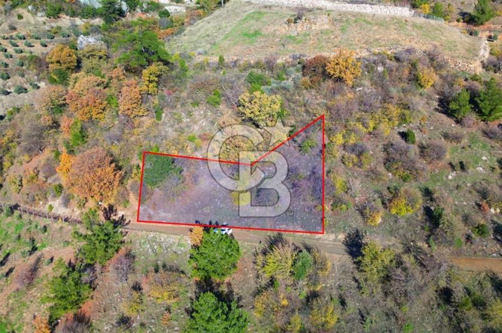 Muğla Menteşe Çatakbağyaka’da Doğayla İç İçe Satılık Tarla