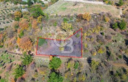 Muğla Menteşe Çatakbağyaka’da Doğayla İç İçe Satılık Tarla