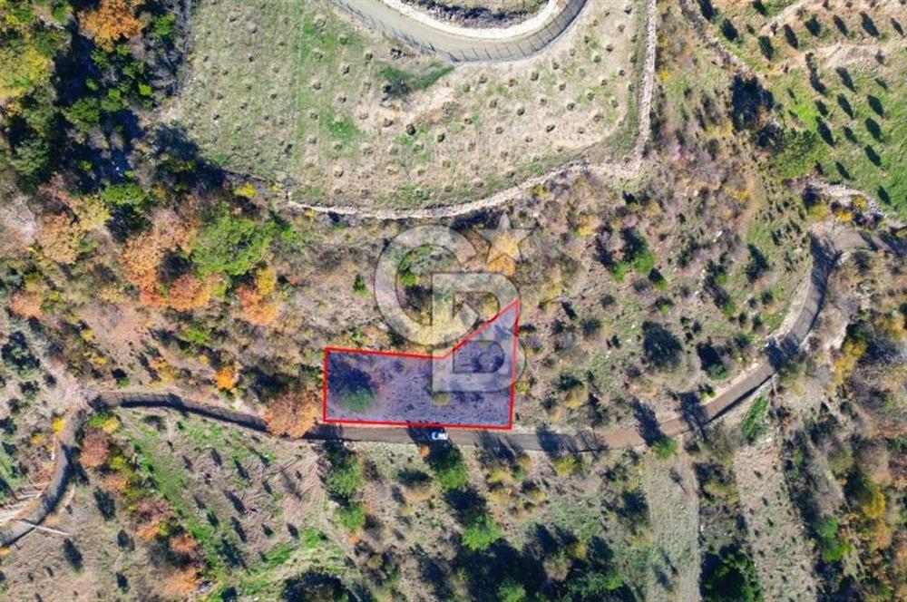 Muğla Menteşe Çatakbağyaka’da Doğayla İç İçe Satılık Tarla