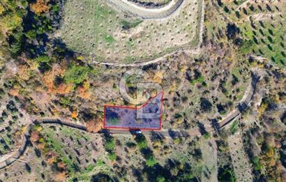 Muğla Menteşe Çatakbağyaka’da Doğayla İç İçe Satılık Tarla