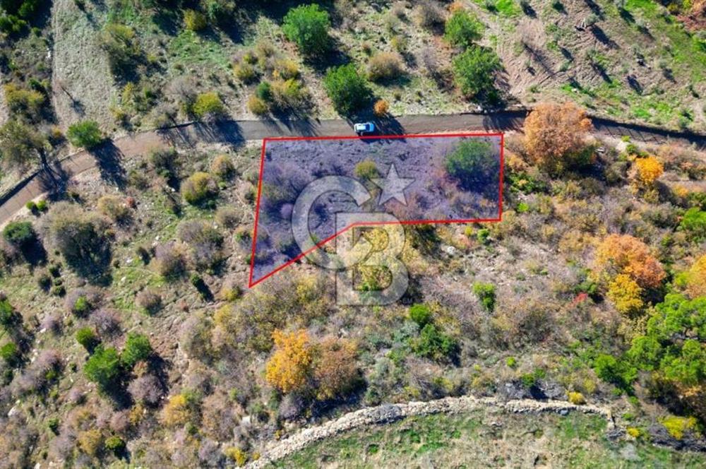 Muğla Menteşe Çatakbağyaka’da Doğayla İç İçe Satılık Tarla