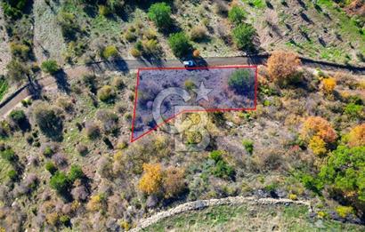 Muğla Menteşe Çatakbağyaka’da Doğayla İç İçe Satılık Tarla