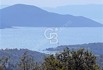 FIRSAT MUĞLA MİLAS KAZIKLI KOOP ARSASI SATILIK - 1 - 323518