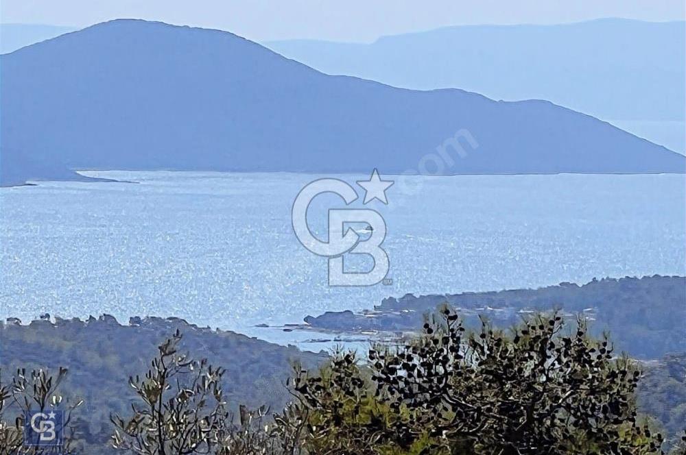 KAZIKLI MİLAS 403 M2 FULL DENİZ MANZARALI KOOP. ARSASI