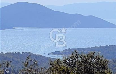 KAZIKLI MİLAS 403 M2 FULL DENİZ MANZARALI KOOP. ARSASI