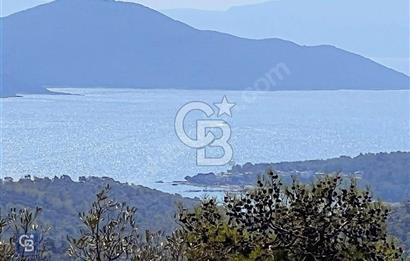 FIRSAT MUĞLA MİLAS KAZIKLI KOOP ARSASI SATILIK