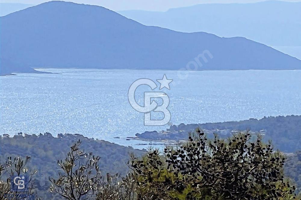 KAZIKLI MİLAS 403 M2 FULL DENİZ MANZARALI KOOP. ARSASI