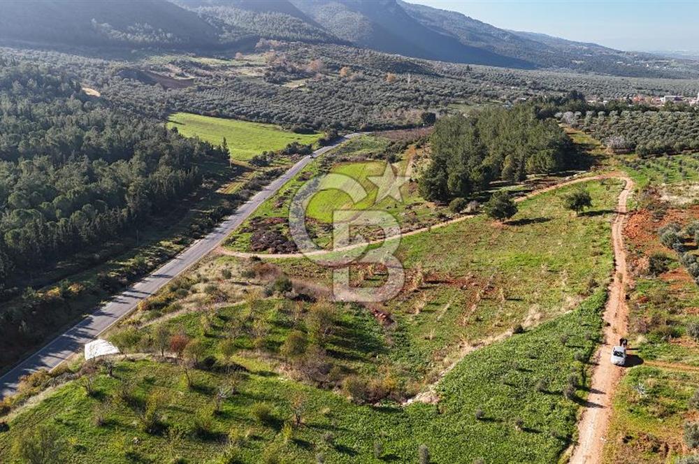 Saruhanlı Salihli Yolunda Ticari Tesislere Yakın Satılık Tarla