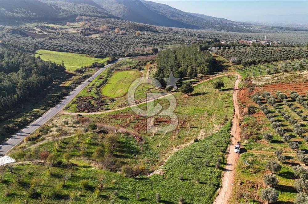 Saruhanlı Salihli Yolunda Ticari Tesislere Yakın Satılık Tarla