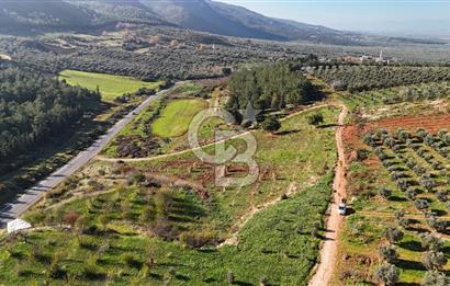 Saruhanlı Salihli Yolunda Ticari Tesislere Yakın Satılık Tarla
