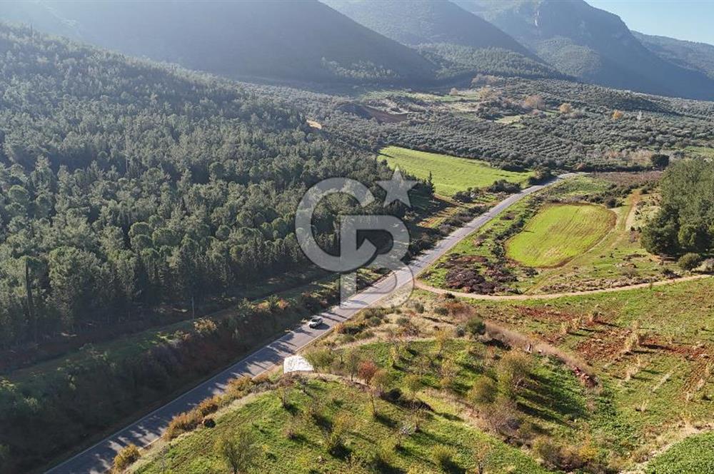 Saruhanlı Salihli Yolunda Ticari Tesislere Yakın Satılık Tarla