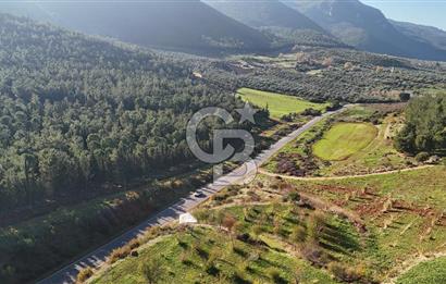 Saruhanlı Salihli Yolunda Ticari Tesislere Yakın Satılık Tarla