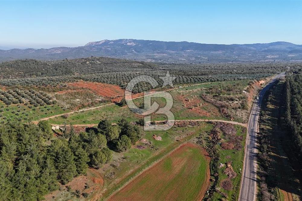 Saruhanlı Salihli Yolunda Ticari Tesislere Yakın Satılık Tarla