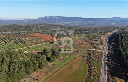 Saruhanlı Salihli Yolunda Ticari Tesislere Yakın Satılık Tarla