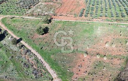 Saruhanlı Salihli Yolunda Ticari Tesislere Yakın Satılık Tarla