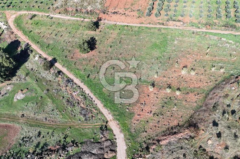 Saruhanlı Salihli Yolunda Ticari Tesislere Yakın Satılık Tarla