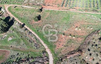 Saruhanlı Salihli Yolunda Ticari Tesislere Yakın Satılık Tarla