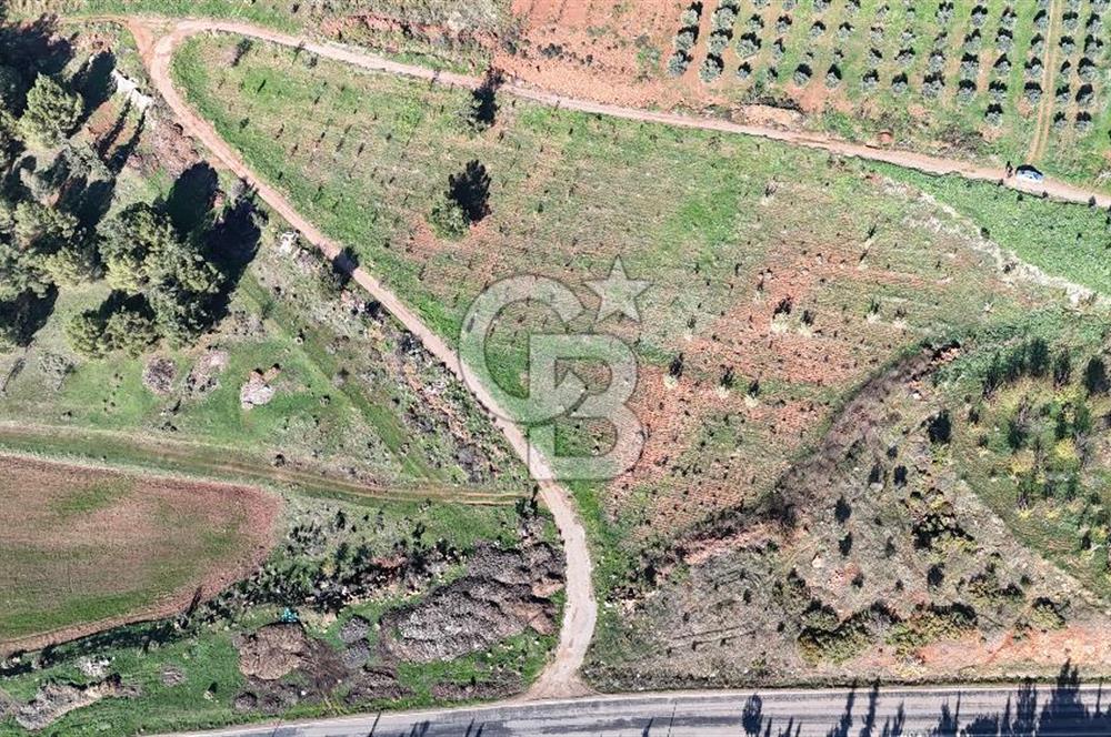 Saruhanlı Salihli Yolunda Ticari Tesislere Yakın Satılık Tarla