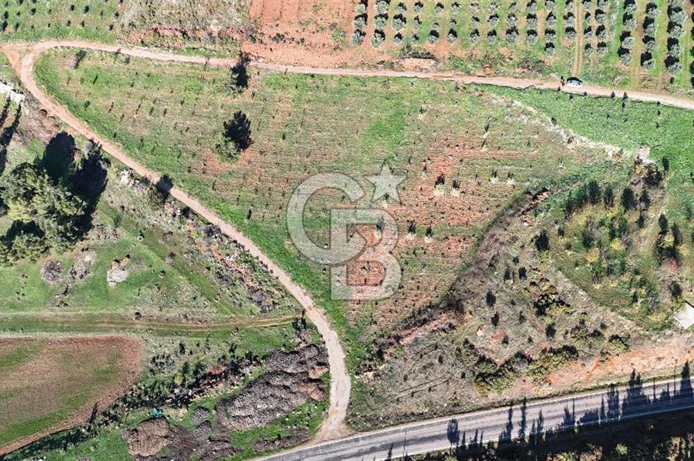 Saruhanlı Salihli Yolunda Ticari Tesislere Yakın Satılık Tarla