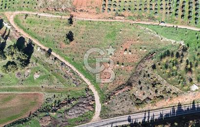 Saruhanlı Salihli Yolunda Ticari Tesislere Yakın Satılık Tarla