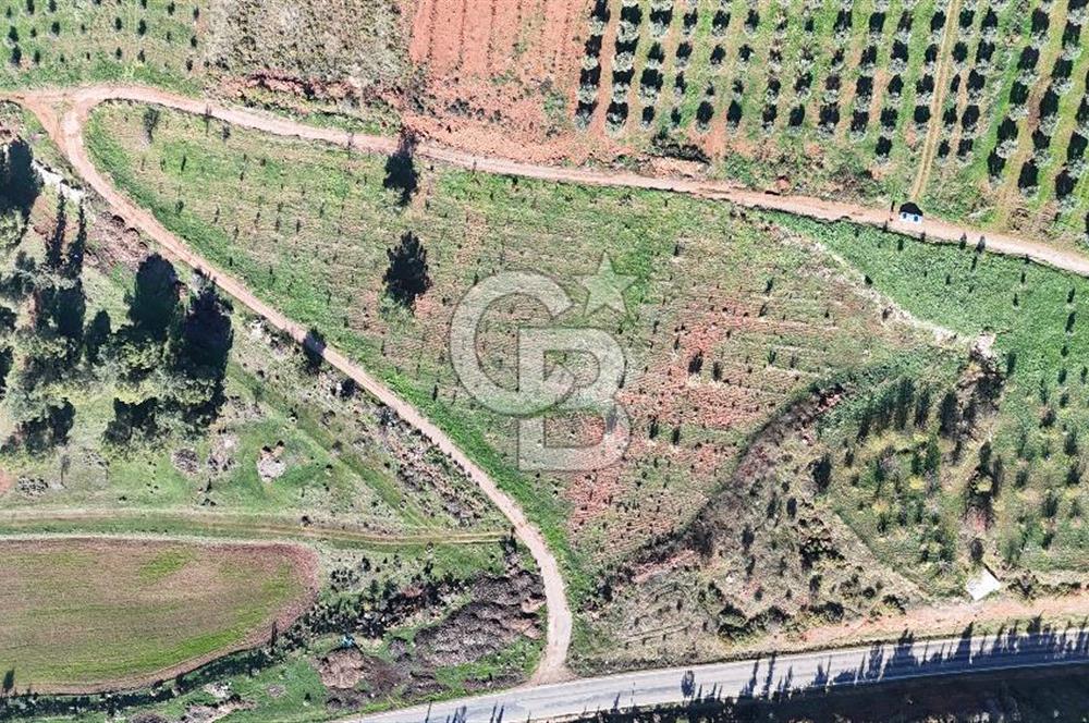 Saruhanlı Salihli Yolunda Ticari Tesislere Yakın Satılık Tarla