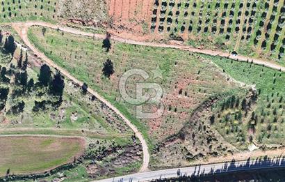 Saruhanlı Salihli Yolunda Ticari Tesislere Yakın Satılık Tarla