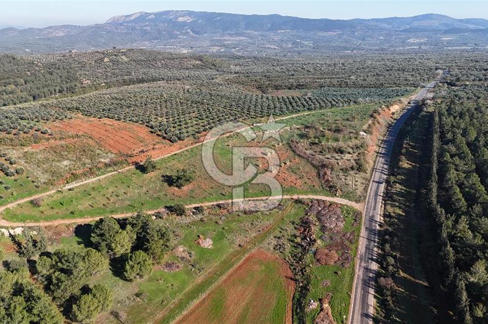 Saruhanlı Salihli Yolunda Ticari Tesislere Yakın Satılık Tarla