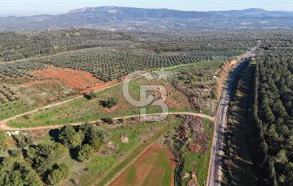 Saruhanlı Salihli Yolunda Ticari Tesislere Yakın Satılık Tarla