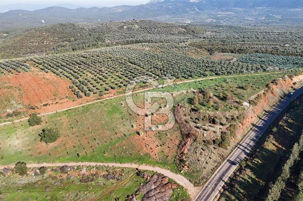 Saruhanlı Salihli Yolunda Ticari Tesislere Yakın Satılık Tarla