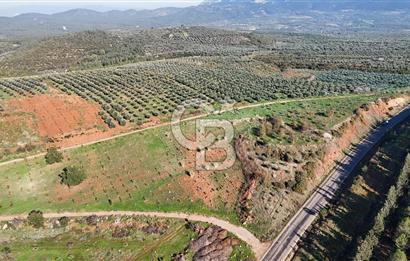 Saruhanlı Salihli Yolunda Ticari Tesislere Yakın Satılık Tarla