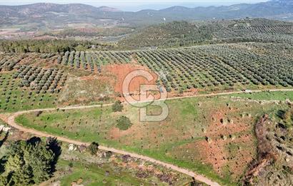 Saruhanlı Salihli Yolunda Ticari Tesislere Yakın Satılık Tarla
