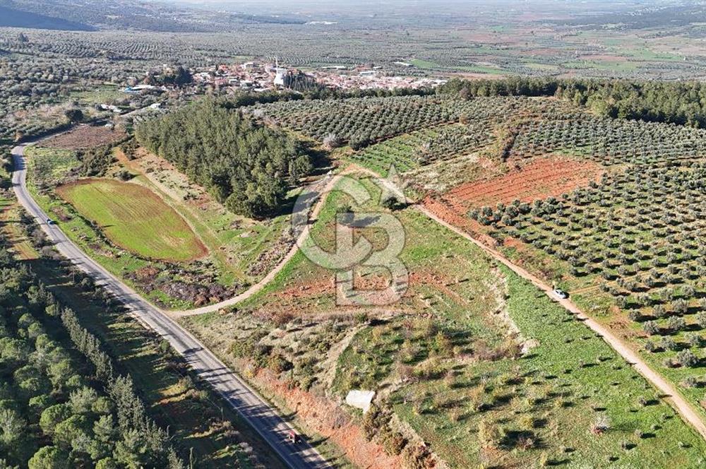 Saruhanlı Salihli Yolunda Ticari Tesislere Yakın Satılık Tarla