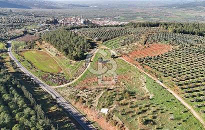 Saruhanlı Salihli Yolunda Ticari Tesislere Yakın Satılık Tarla