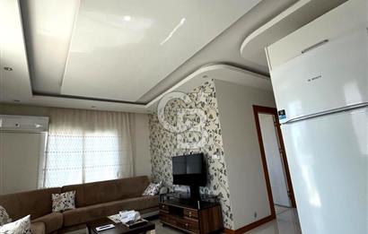 100. yıl  harika daire 