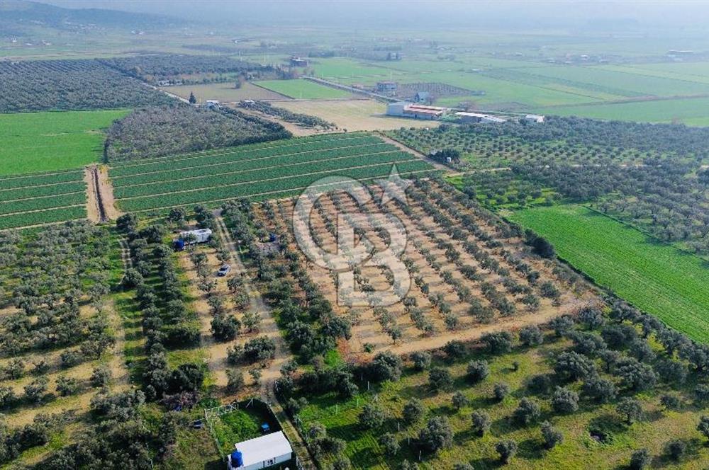Foça Gerenköy'de Satılık 424 m2 Tarla