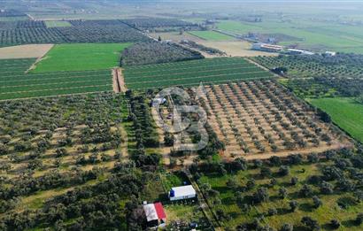 Foça Gerenköy'de Satılık 424 m2 Tarla