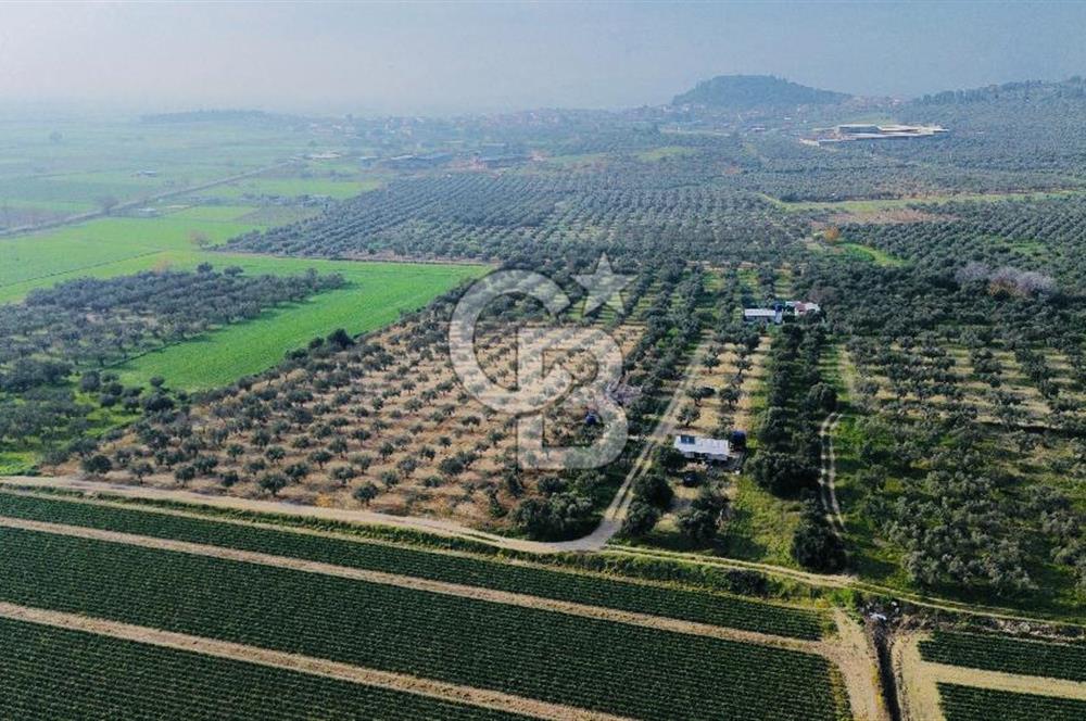 Foça Gerenköy'de Satılık 424 m2 Tarla