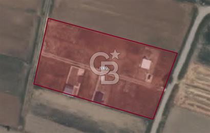 MENEMEN TÜRKELLİ'DE GEDİZ KIYISINA YAKIN SATILIK HOBİ BAHÇESİ