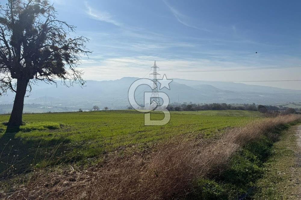 ÇANAKKALE IŞIKLAR KÖYÜNDE SATILIK KOOPARATİF HİSSESİ