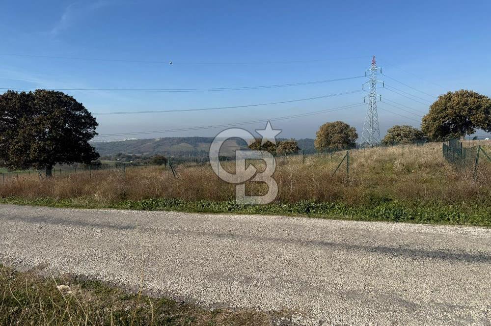 ÇANAKKALE IŞIKLAR KÖYÜNDE SATILIK KOOPARATİF HİSSESİ