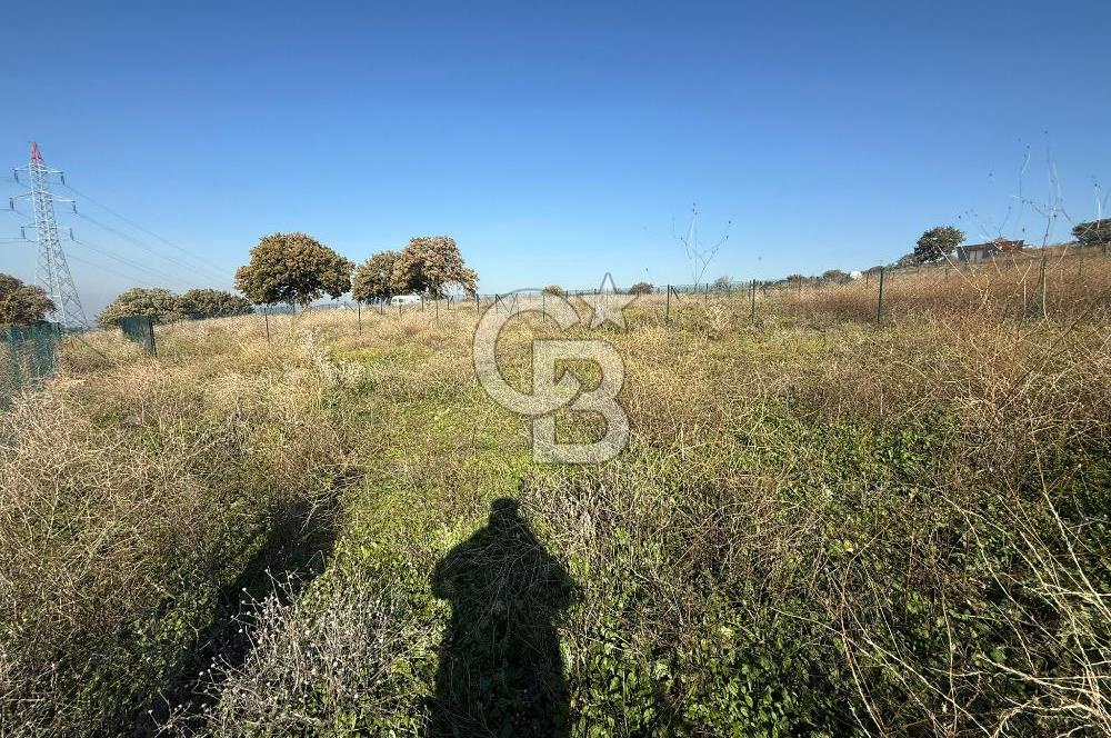 ÇANAKKALE IŞIKLAR KÖYÜNDE SATILIK KOOPARATİF HİSSESİ