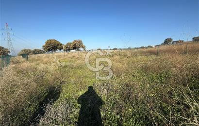 ÇANAKKALE IŞIKLAR KÖYÜNDE SATILIK KOOPARATİF HİSSESİ